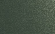 Colour Options